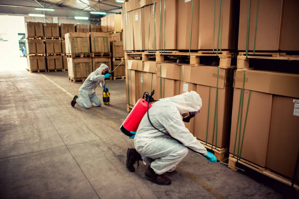 Best Commercial Pest Control Services  in Contoocook, NH