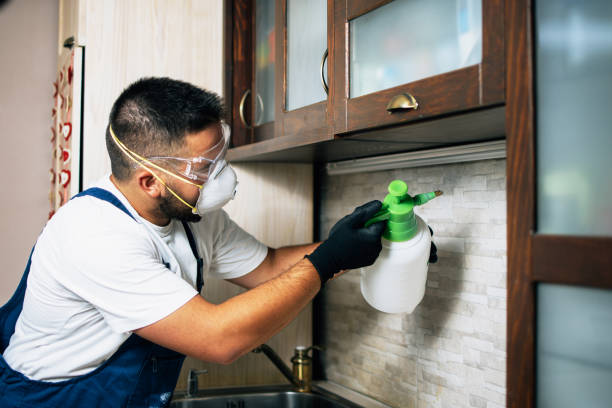Reliable Contoocook, NH Pest Control Solutions