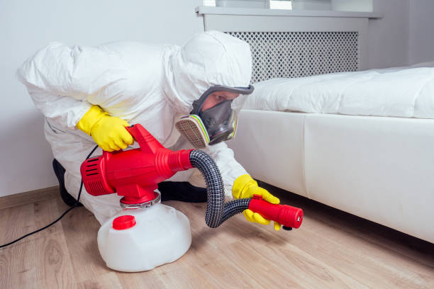 Best Local Pest Control Services  in Contoocook, NH