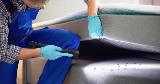 Best Flea Control Services  in Contoocook, NH