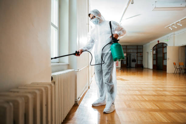 Best Mosquito Control Services  in Contoocook, NH