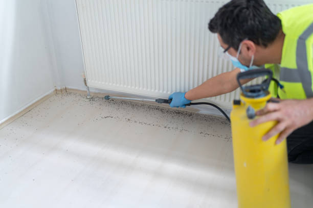 Best Affordable Pest Control Services  in Contoocook, NH