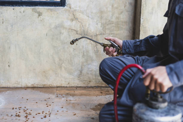 Best Pest Control Near Me  in Contoocook, NH